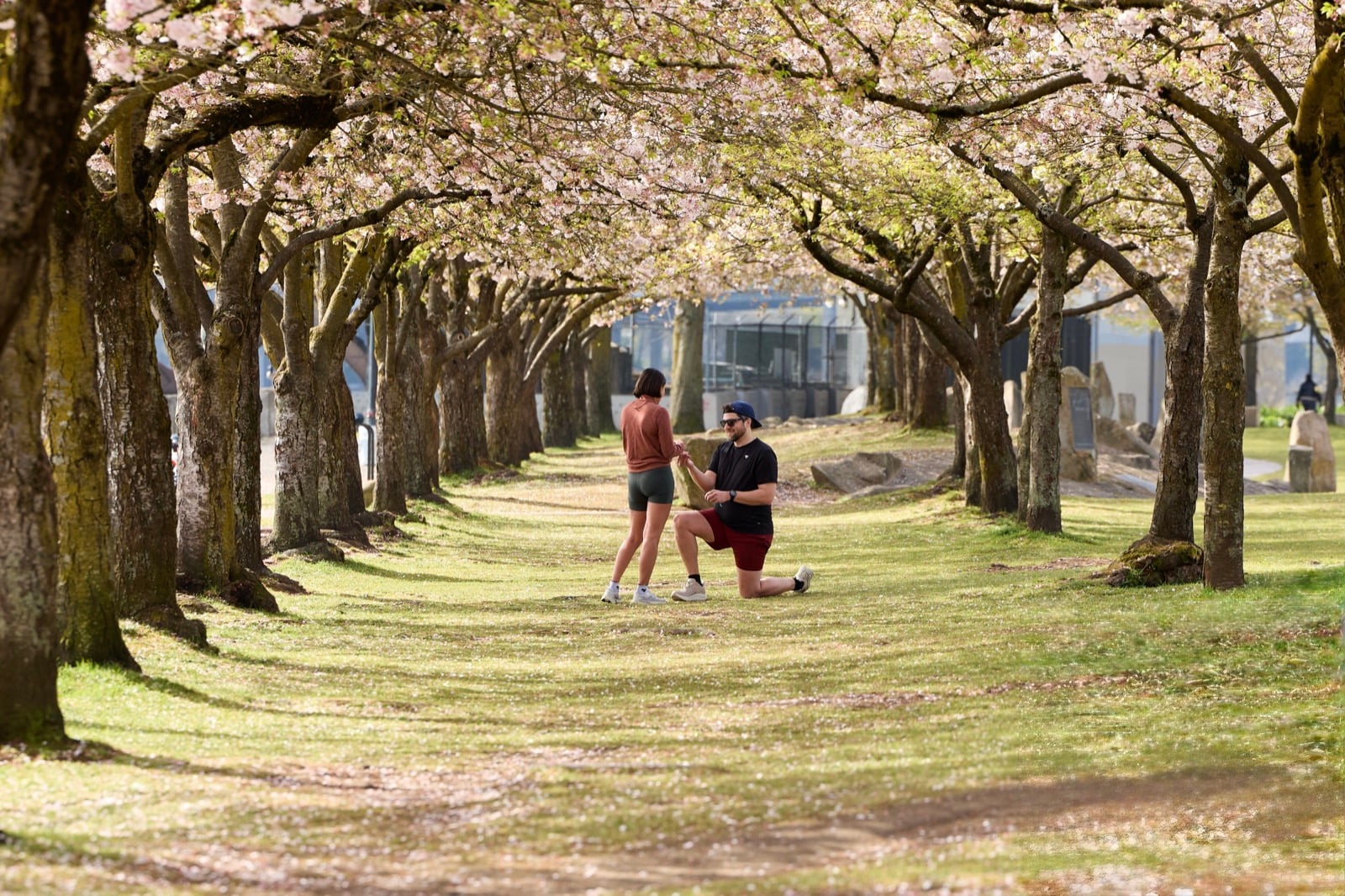 Jessica receiving Michael’s proposal under flowering trees